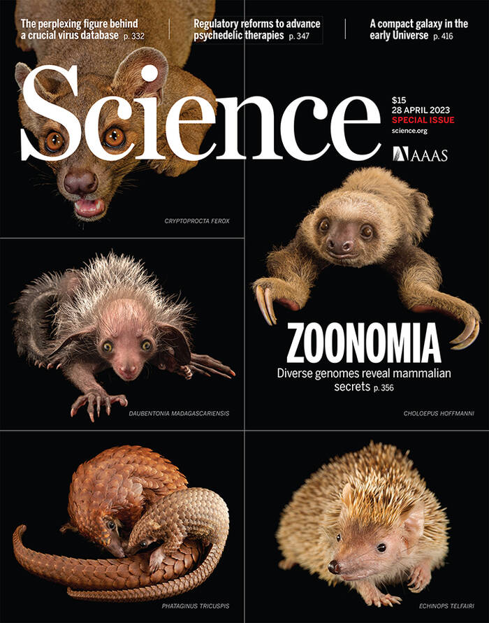 The cover of Science featuring the Zoonomia story