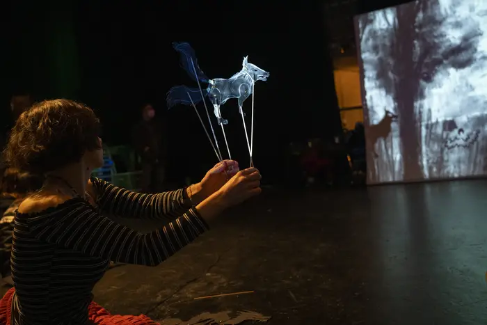 student holding shadow puppet and watching projection
