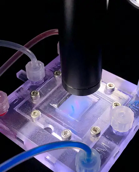A look at technical equipment used in CMU's (FRESH) 3D bioprinting technique, which allows for the printing of soft living cells and tissues.