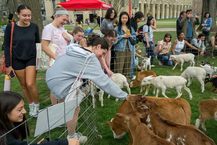 Students at the petting zoo.
