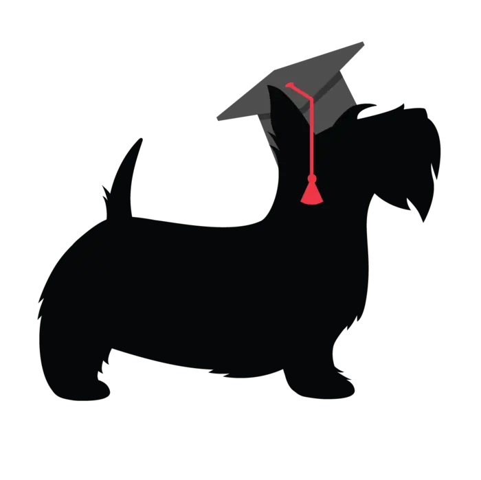 Scotty in a graduation cap. 