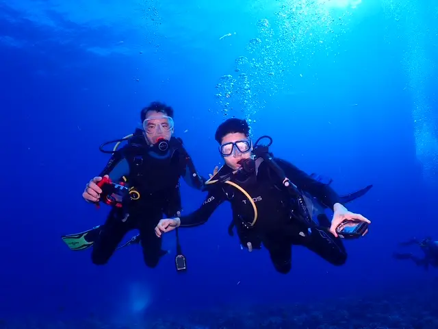 Two people underwater scuba diving.