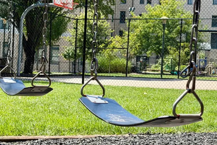Swings on campus