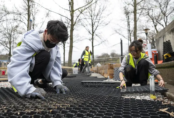 Students work on site