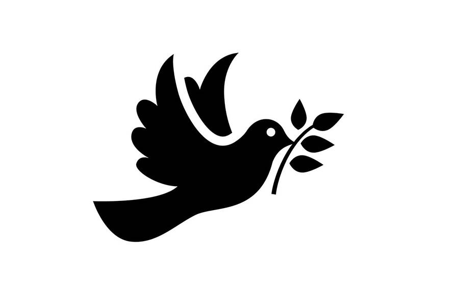 graphic of peace dove holding branch