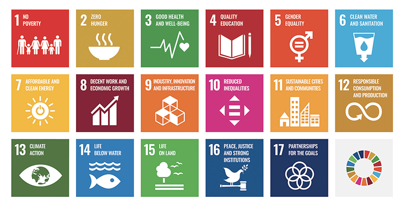 The Global Goals grid
