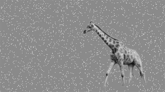 A giraffe against dots