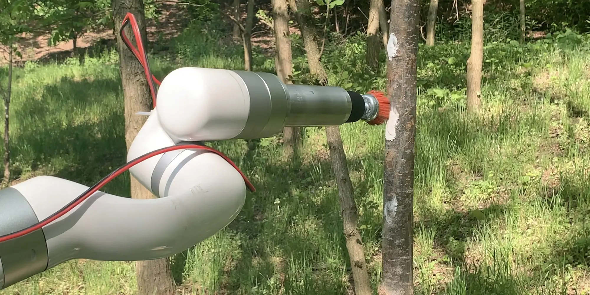 TartanPest pairs computer vision with a robotic arm attached to an electric tractor to detect and destroy spotted lanternfly egg masses.