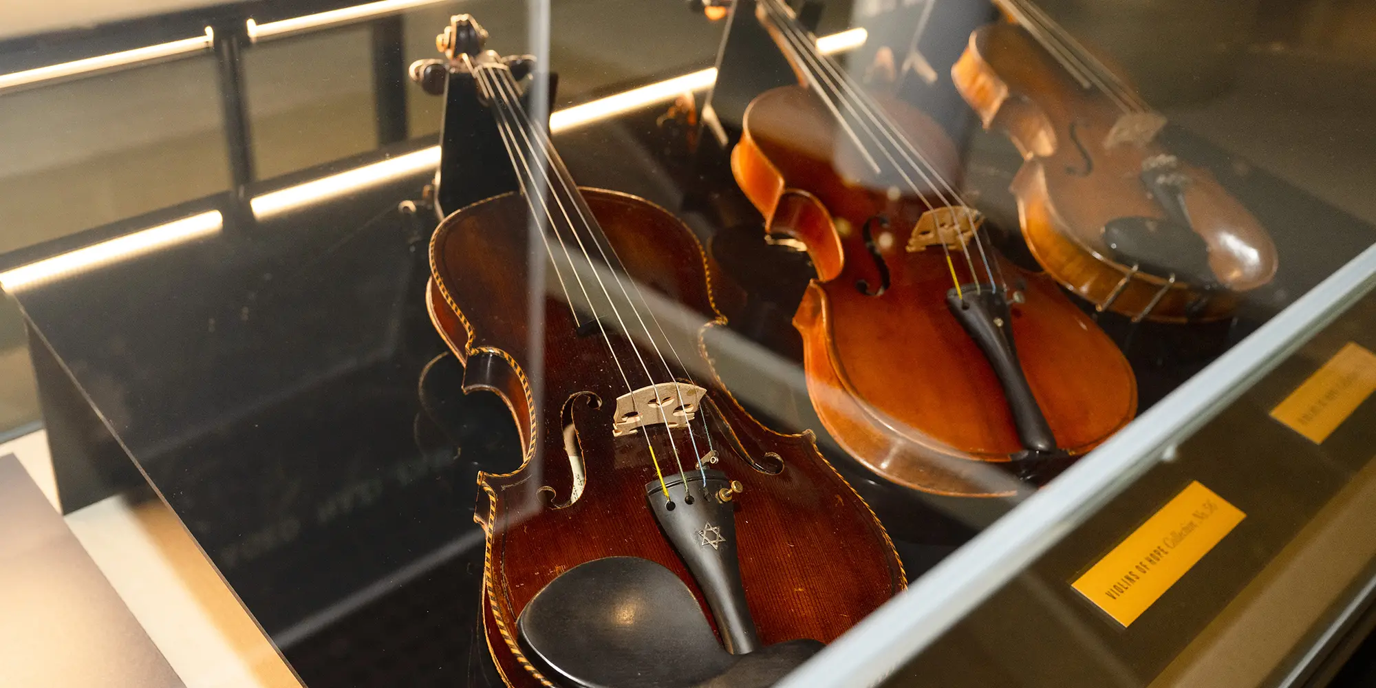 three violins displayed inside clear case