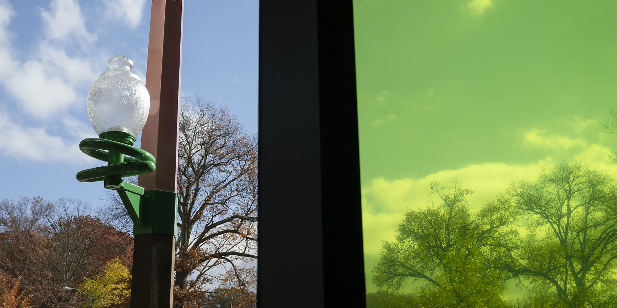 indoor and outdoor view of trees through glass