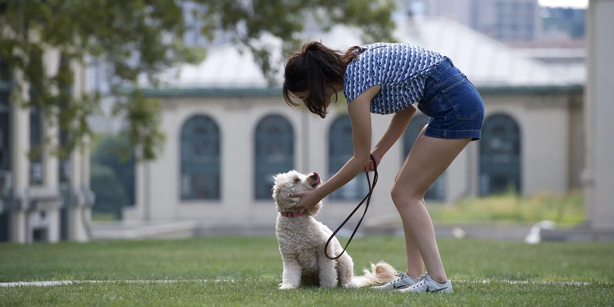 A woman walks her dog on CMU campus.