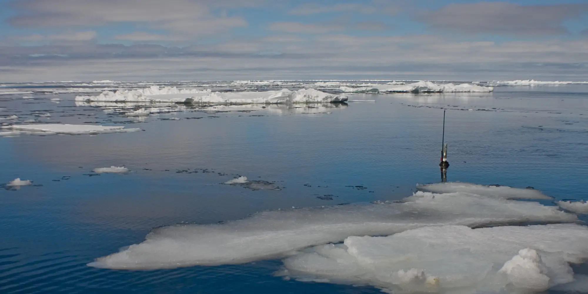 An Argo NEMO float bobs among ice on the ocean's surface.