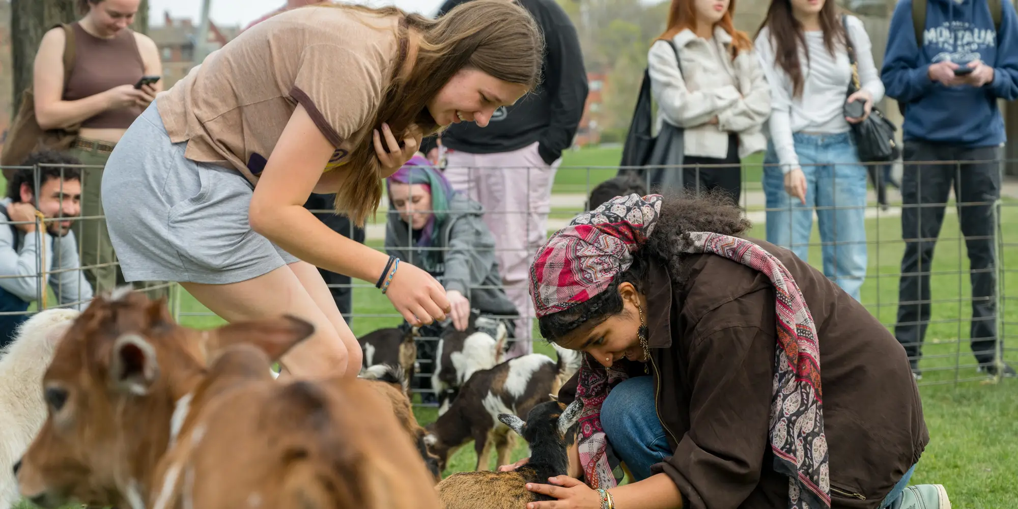 CMU students interact with animals at a petting zoo on campus.