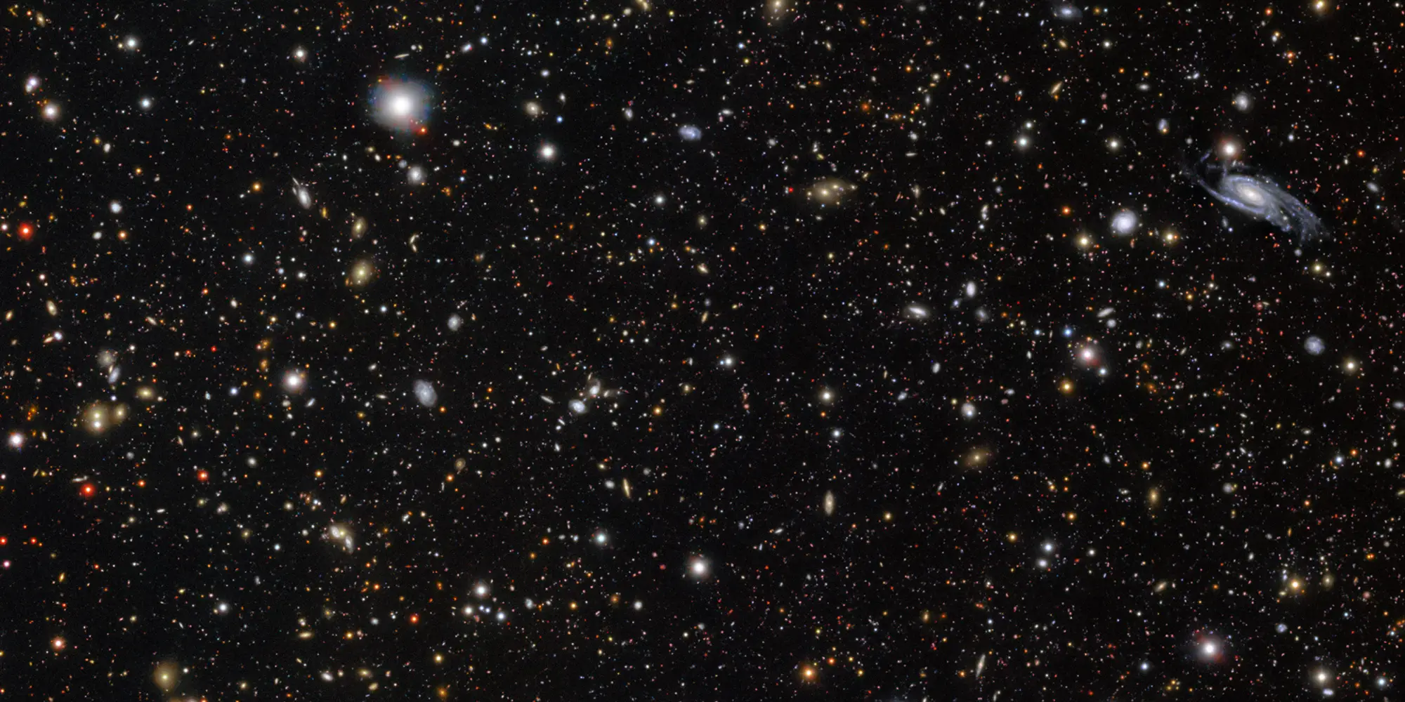 Rare Stellar Explosion Gives Astronomers a Front-Row Seat to a