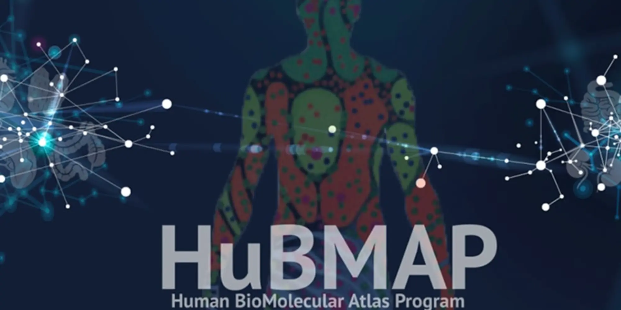 human-body-atlas-900x600-min.jpeg