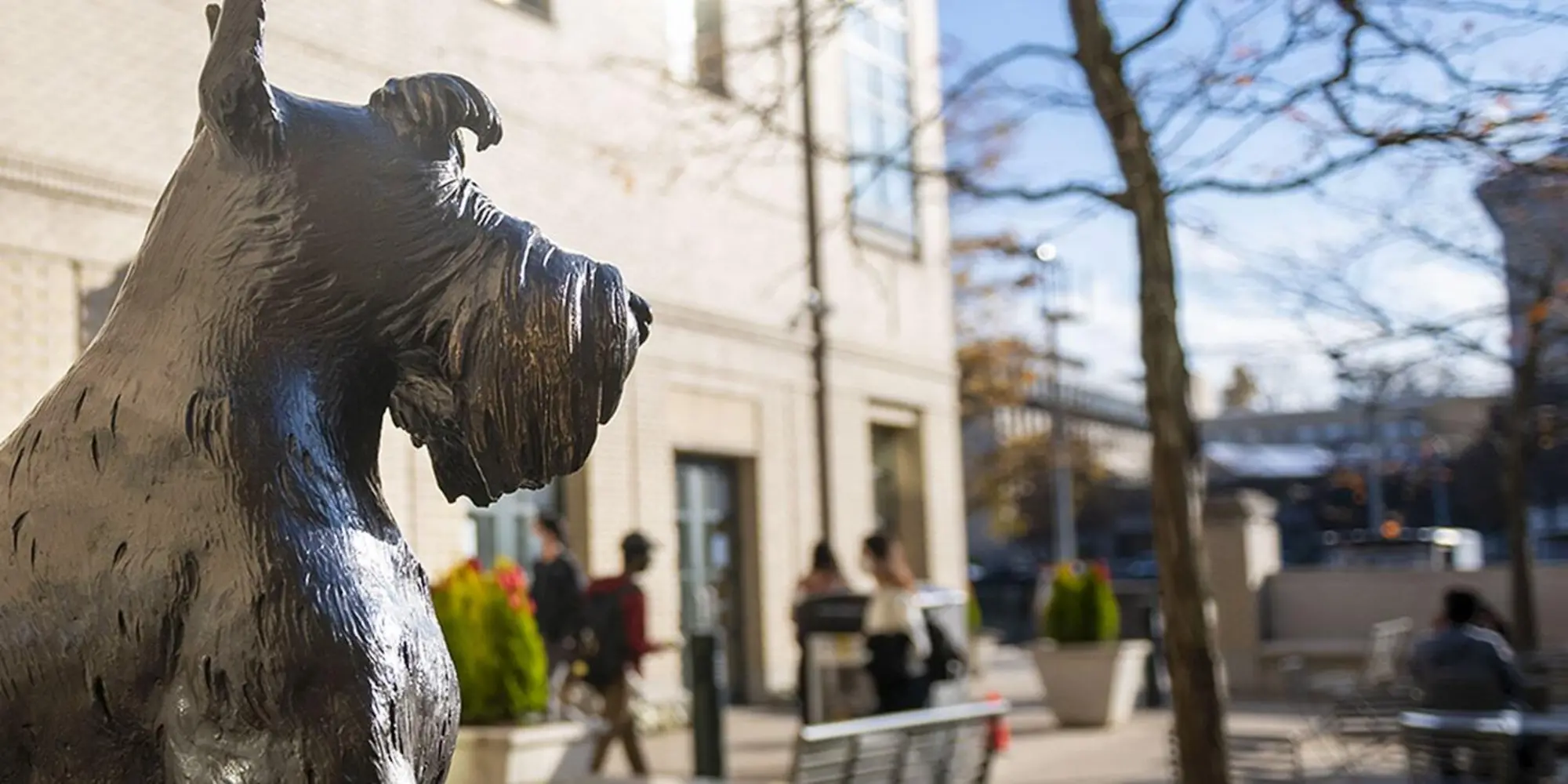 2022-yir-close_mc-211108c-scotty-dog-statue03_1400x700-copy-min.jpg