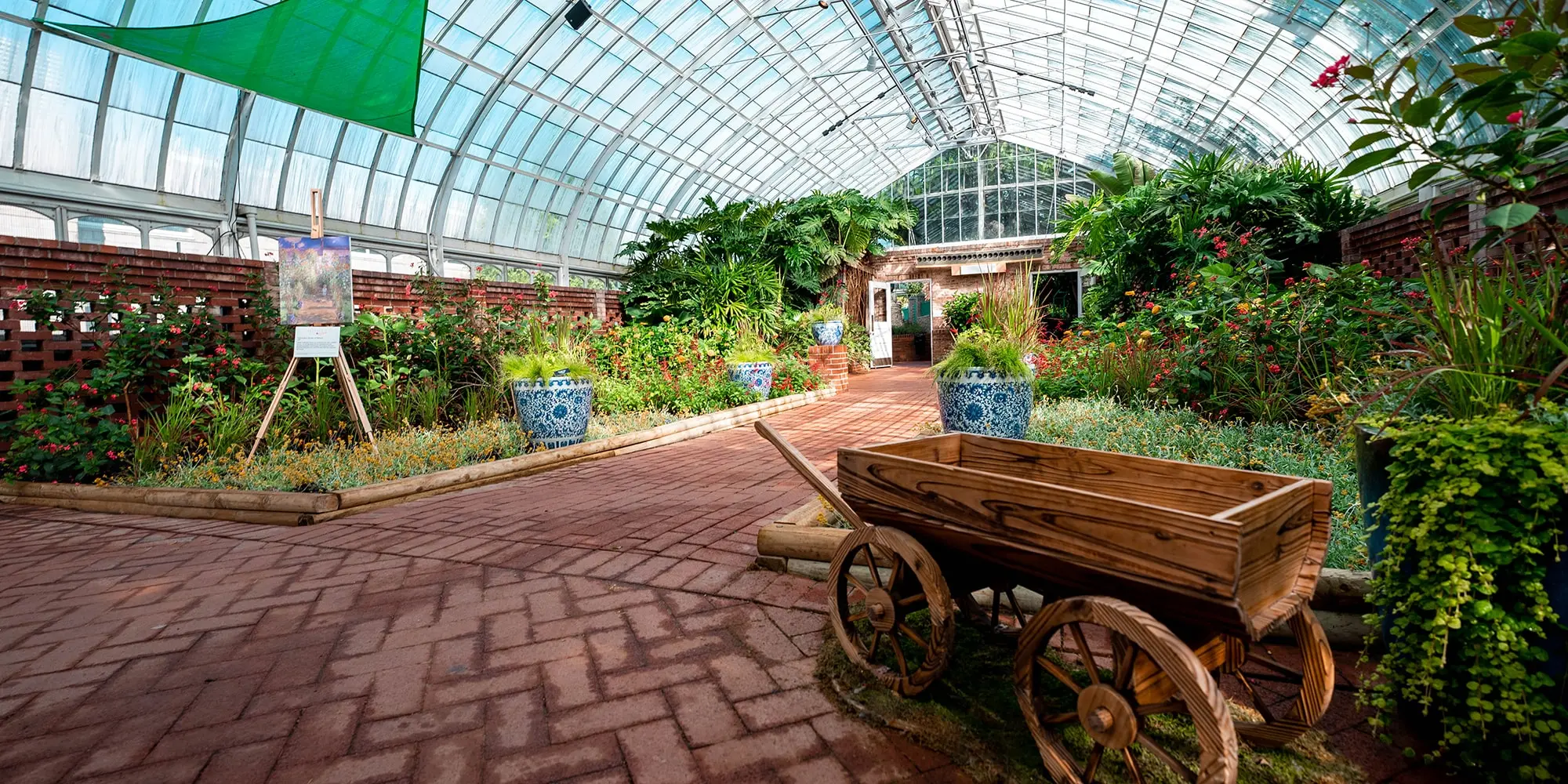 monet-phipps-show-gallery-2000x1000-min.jpg