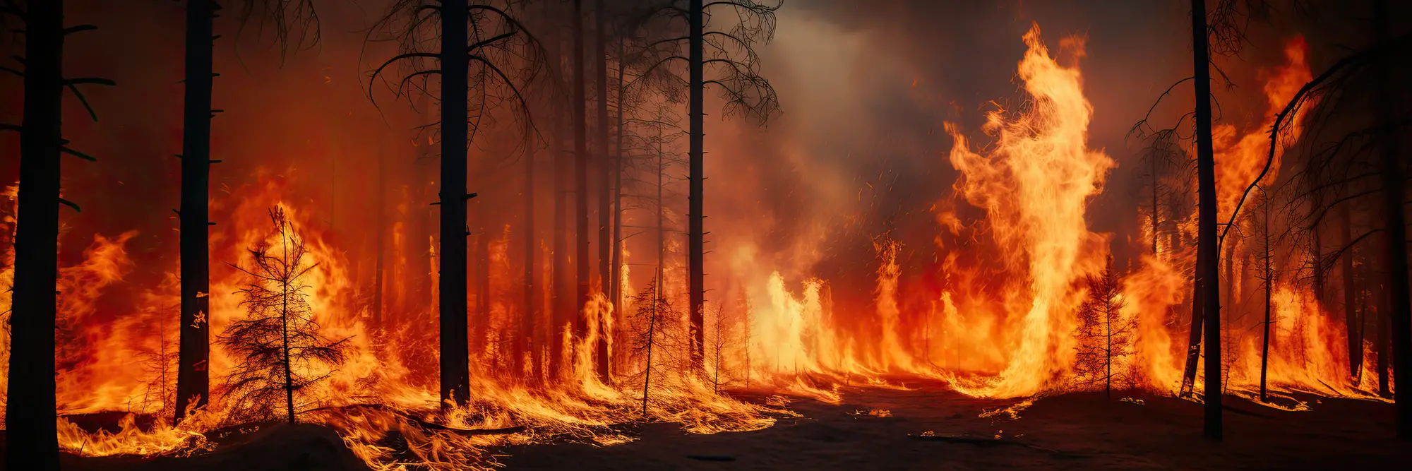 A large fire in the woods.