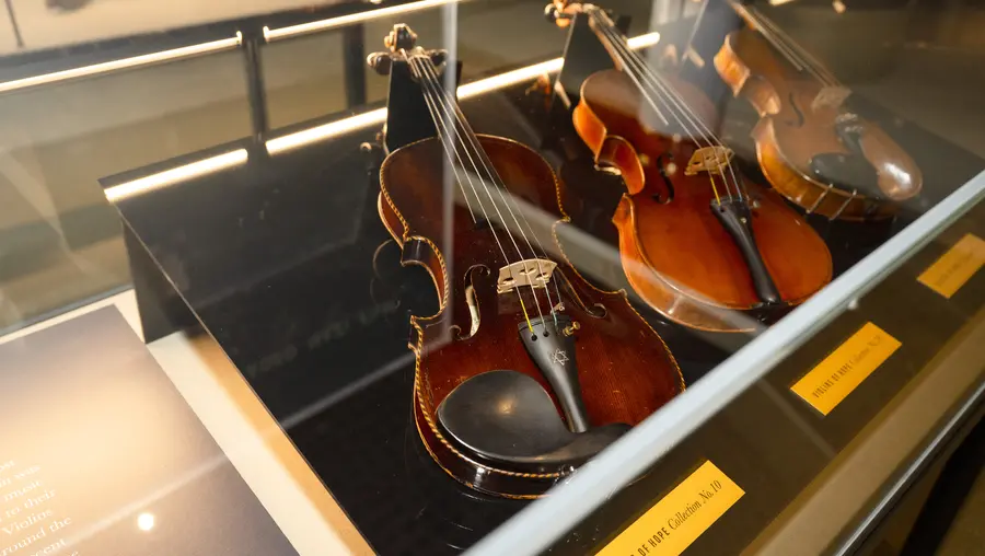 three violins displayed inside a clear case