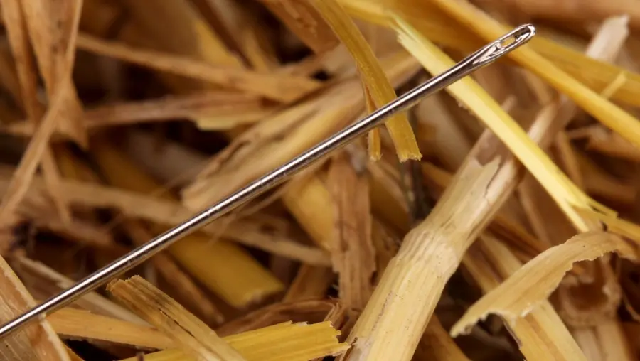 A needle in a haystack