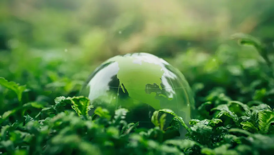 Dew drop on grass