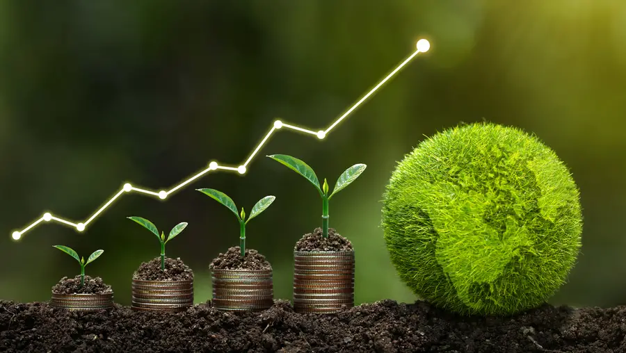 A stock image representing sustainability and growth.