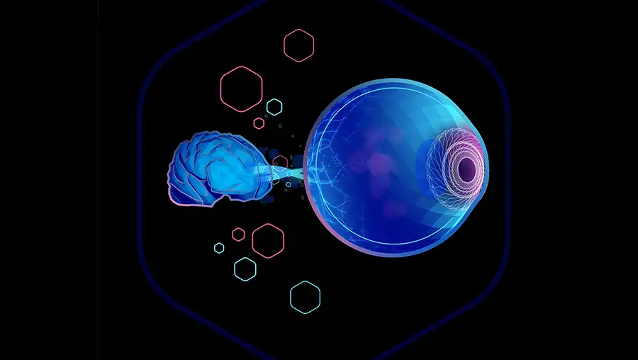 An illustration depicting an eye and a brain.