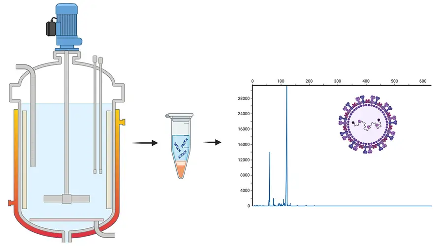 Three part illustration, starting with a large bioreactor tank filled with liquid. An arrow points to a vial containing liquid and DNA strands. A second arrow points to a graph showing two very sharp peaks in a line that is otherwise mostly flat. On top of the graph is an illustration of a virus.