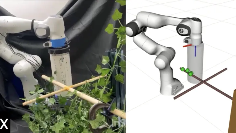 Two images side by side, on the left, a robotic arm next to a branch, and on the right, a digital representation of what's happening. 
