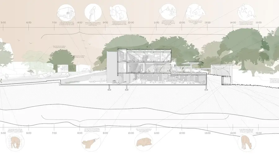 A pastel-colored cutaway concept drawing of a culinary center set among trees that includes a timeline of wildlife's movements at the bottom and a timeline of humans' proposed daily usage at the top.