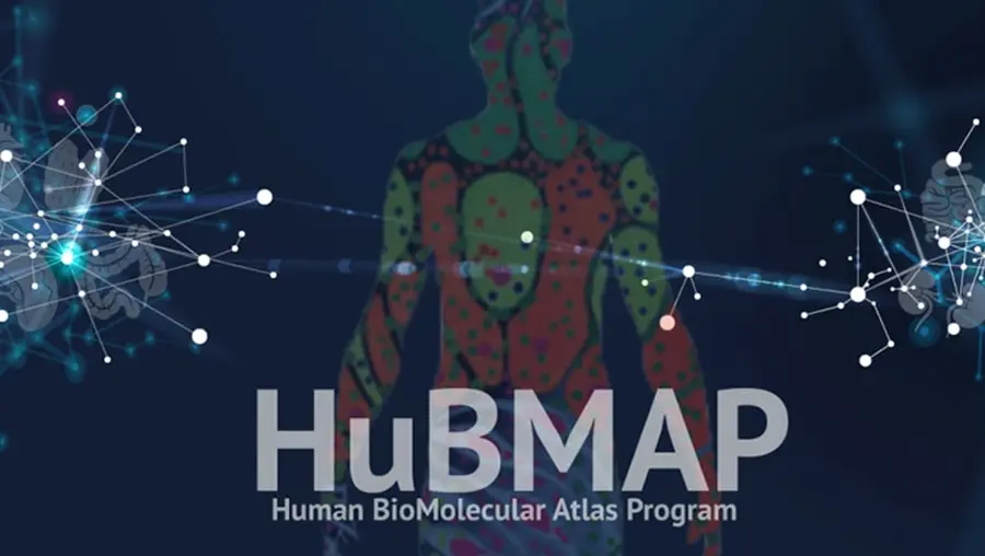 human-body-atlas-900x600-min.jpeg