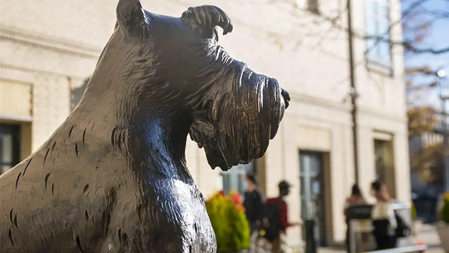 2022-yir-close_mc-211108c-scotty-dog-statue03_900x600-min.jpg