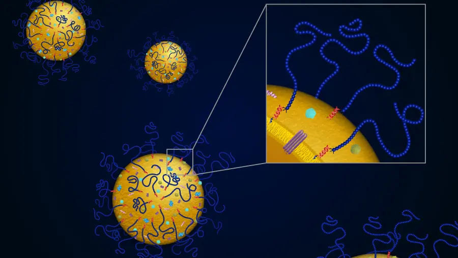 exosome-tech-900x600.jpg