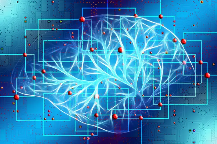 brain-pathways-for-sensory-learning-900x600.jpg