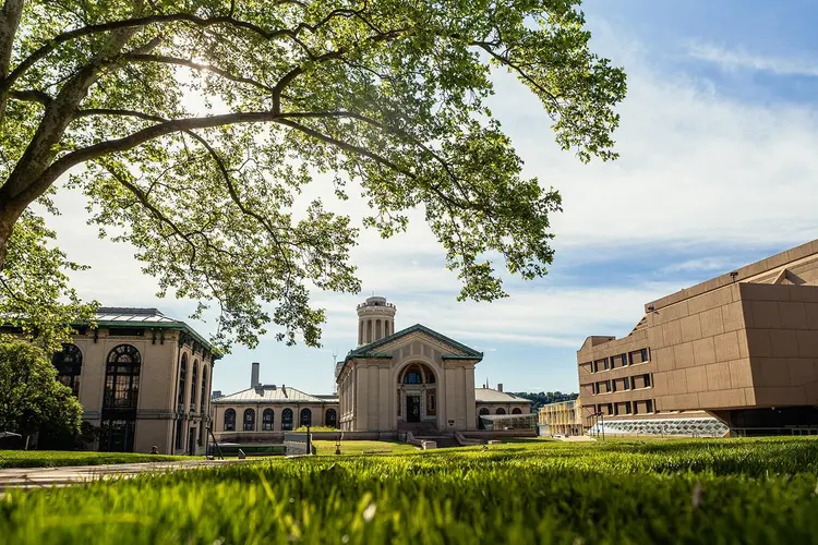 Looking at Hammerschlag Hall.