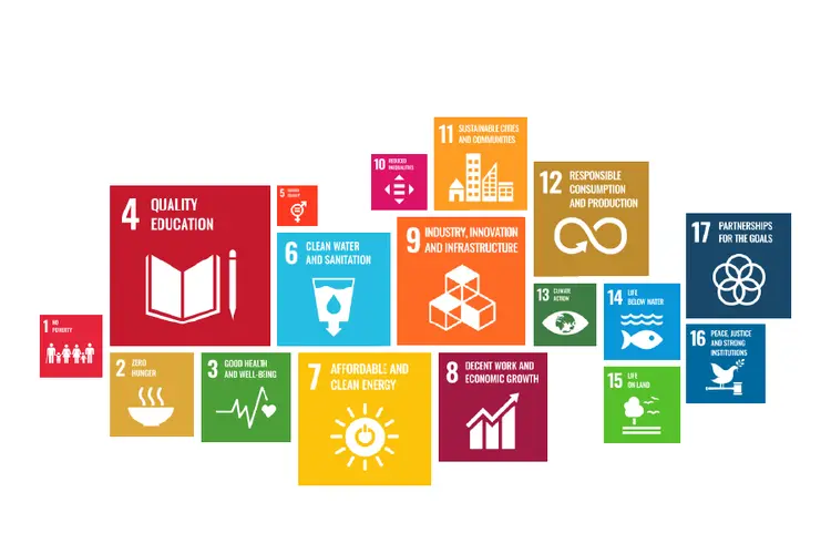 Graphical representation of each sustainable development goal with a relevant icon.