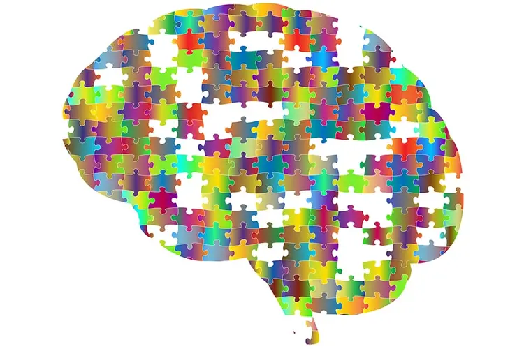 Brain comprised of differently-colored puzzle pieces.