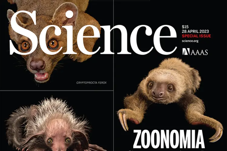 The cover of Science featuring the Zoonomia story