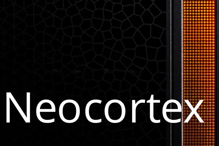 Neocortex