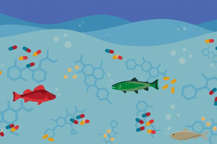 Graphic of fish swimming in water with pharmaceutical pollution