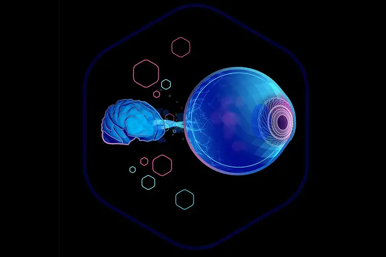 An illustration depicting an eye and a brain.