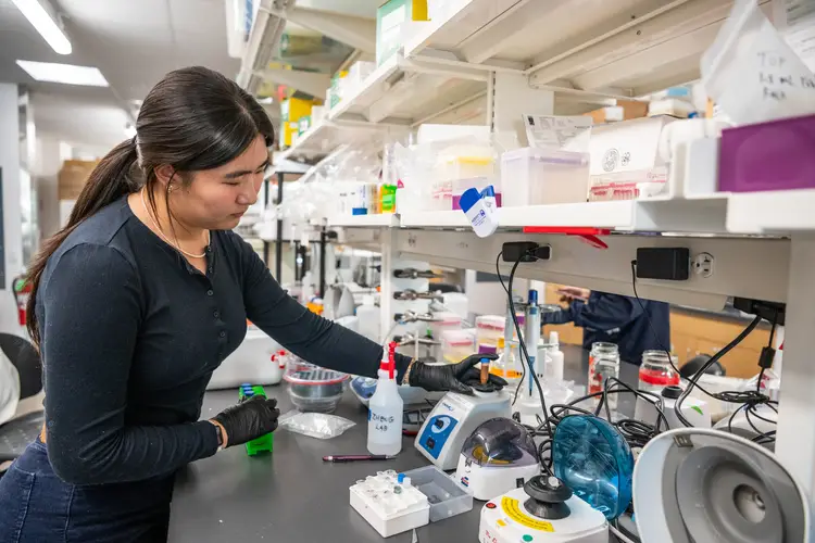 Cindy Jiang works in lab