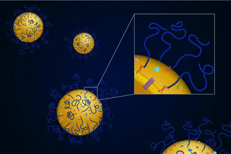 exosome-tech-900x600.jpg