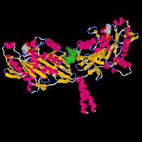 Kinesin