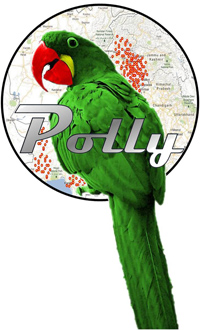 polly