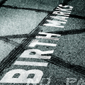 Birth Marks Cover
