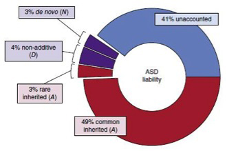 Roeder Autism Study