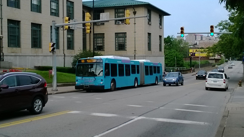 Bus Line Photo