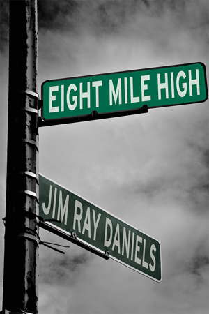 Eight Mile High Book Cover