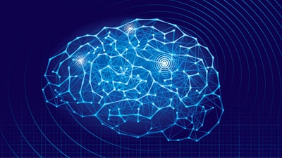 brain image